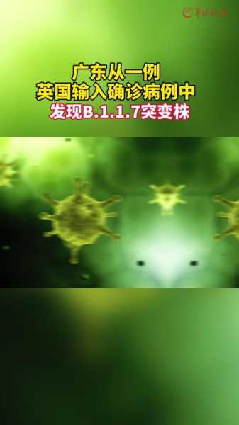 专家:BA.5.2毒株传播更快更隐匿(c.1.2变异毒株)