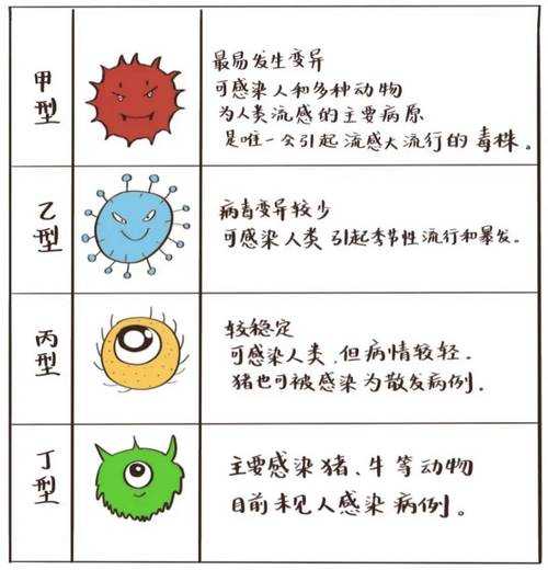 2023年流行感冒叫什么病毒(最近的流行病毒叫啥)