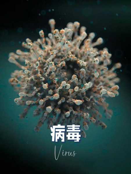 2024新一轮病毒来袭是真的吗(吉林新一轮病毒)