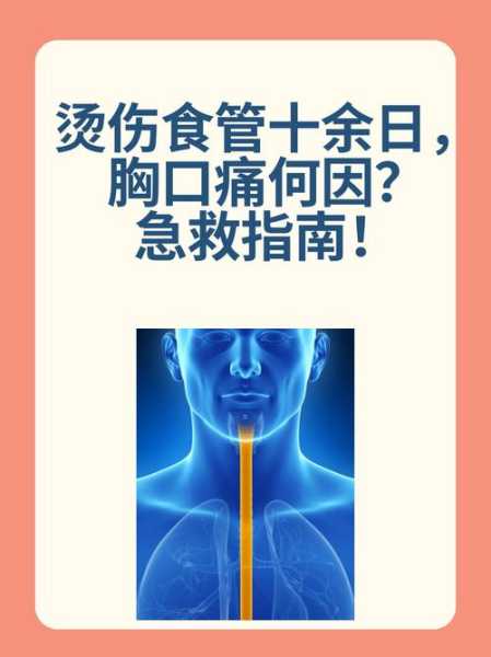 全国各城市感染高峰期进度查询（烫伤第几天是感染高峰期）