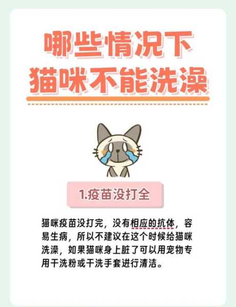 打完新冠疫苗当天洗澡了怎么办(小猫打完疫苗多久可以洗澡)