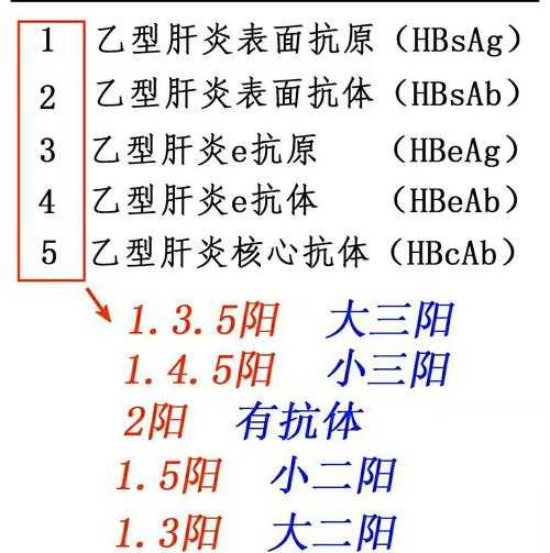 最近复阳的病毒是什么,乙肝病毒表面抗体阳性是什么意思