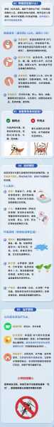 荆州疫情今天最新消息,荆州最新疫情公告