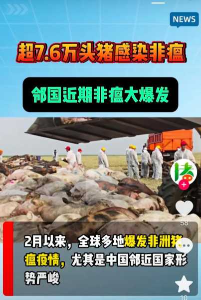 山东临沂疫情最新消息开学，山东临沂非洲猪瘟疫情最新消息