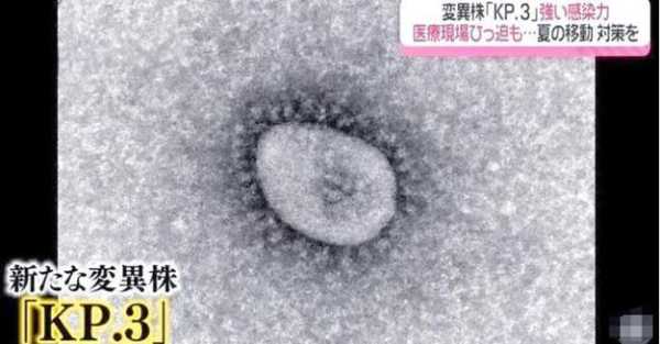 最近有没有新的病毒出现,最近有新病毒出现吗