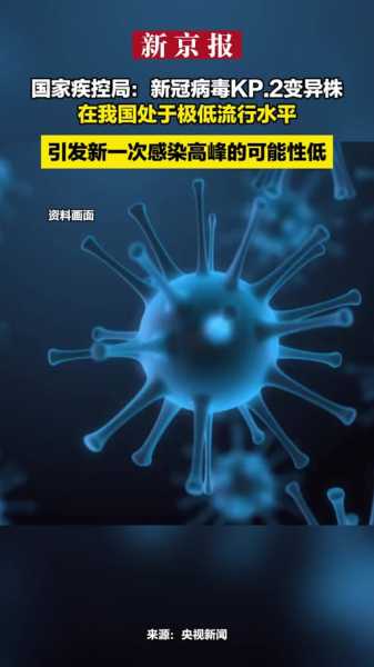 2023年12月什么病毒,2021年病毒叫什么
