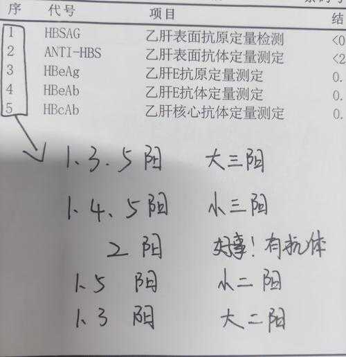 乙肝15阳性是什么意思严重吗,乙肝15阳性代表什么