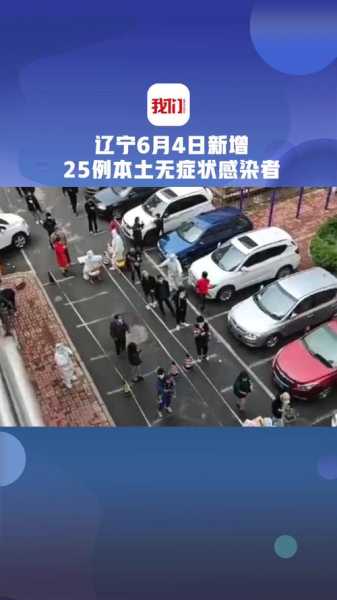 辽宁新增95例本土无症状感染者,辽宁新增本土确诊详情